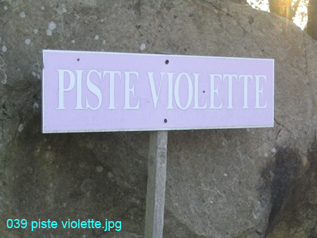 039 piste violette