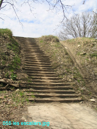 055 les escaliers